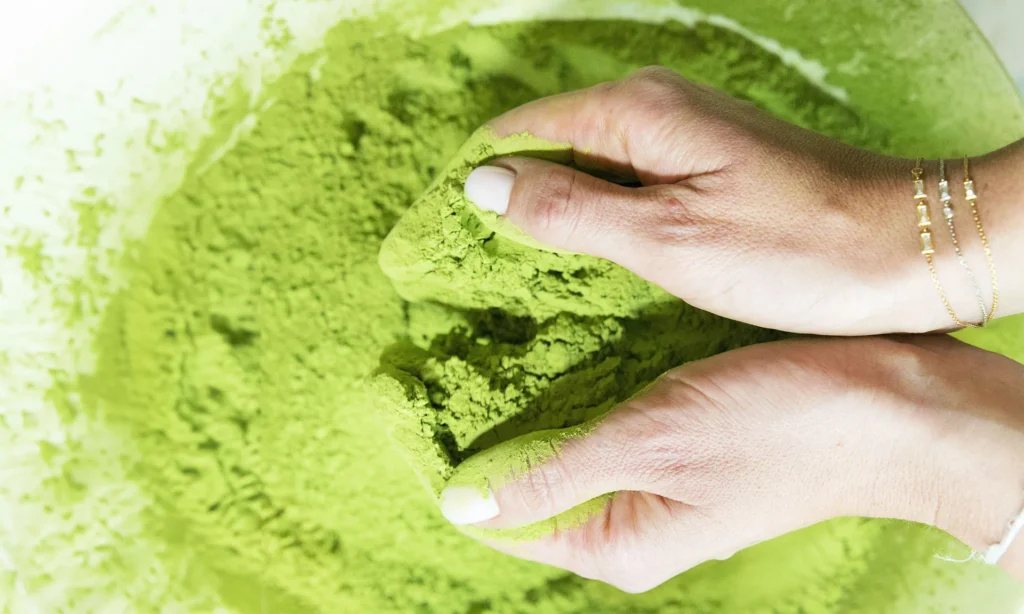Premium-Großhandel Matcha-Pulver von einem zuverlässigen Hersteller geliefert