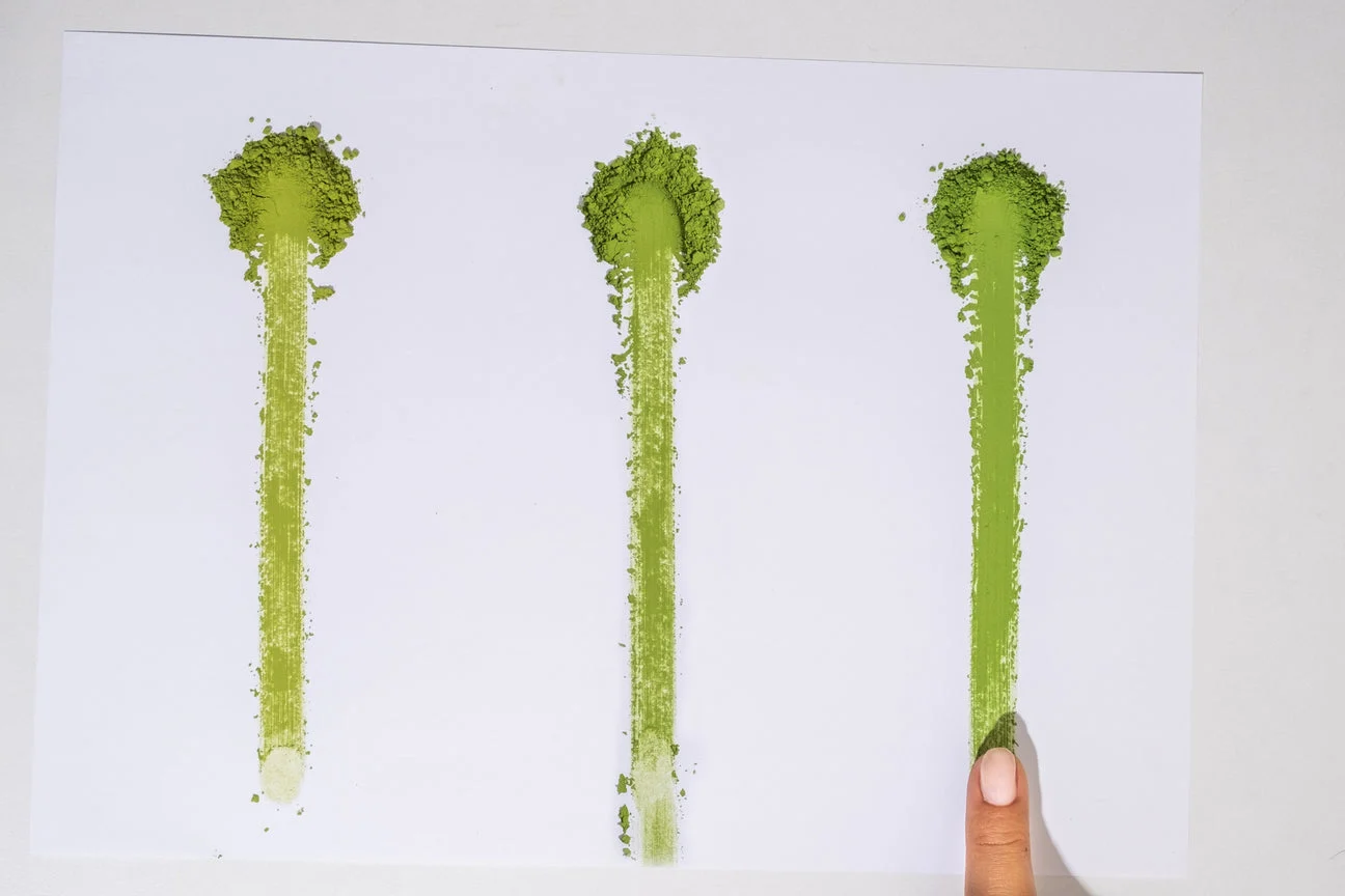 Matcha quality evaluation showing different grades of matcha powder swatches with color comparison for ceremonial versus culinary grade