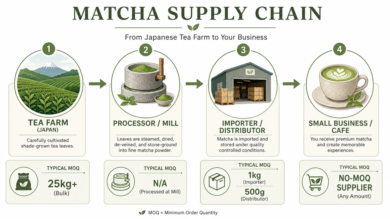 Matcha supply chain diagram showing MOQ tiers from Japanese tea farm to small business buyer - farm 25kg+, importer 1kg, distributor 500g, no-MOQ supplier