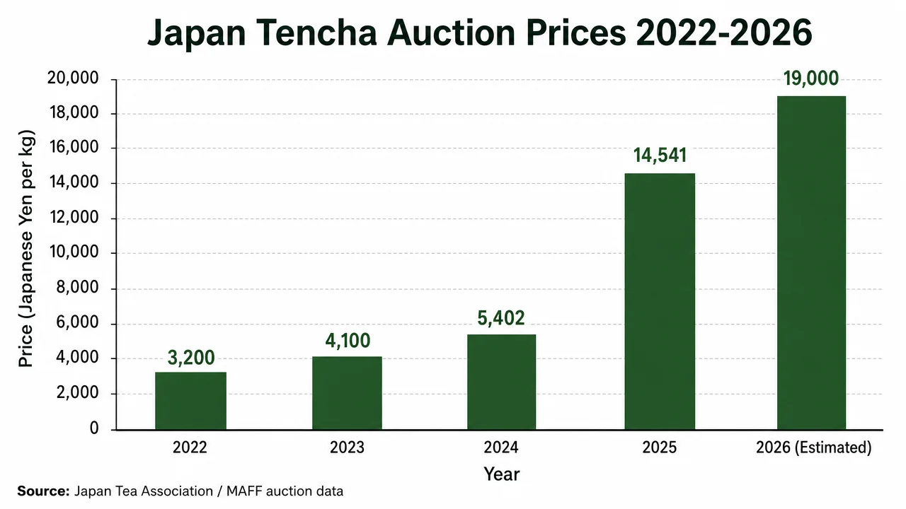 Japan tencha auction price per kg bar chart 2022 to 2026 showing 160% price surge - matcha supply chain market volatility