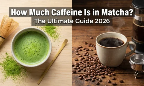 matcha-vs-coffee-caffeine-guide-header